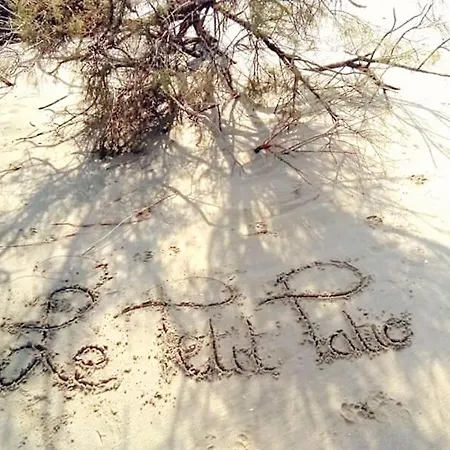 Bed and breakfast Le Petit Patio Aigues-Mortes