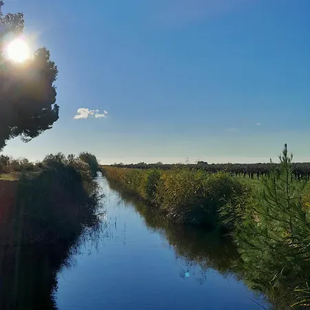 Bed and breakfast Le Petit Patio