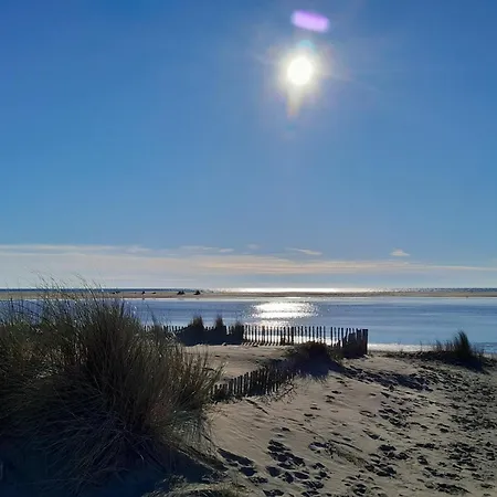 Le Petit Patio Aigues-Mortes