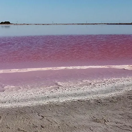 Le Petit Patio Bed and breakfast