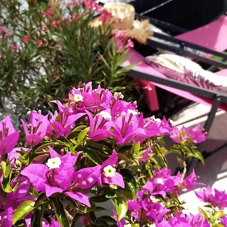 Le Petit Patio Aigues-Mortes