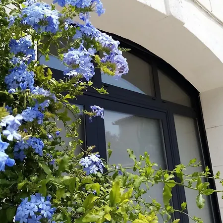 Le Petit Patio Bed and breakfast