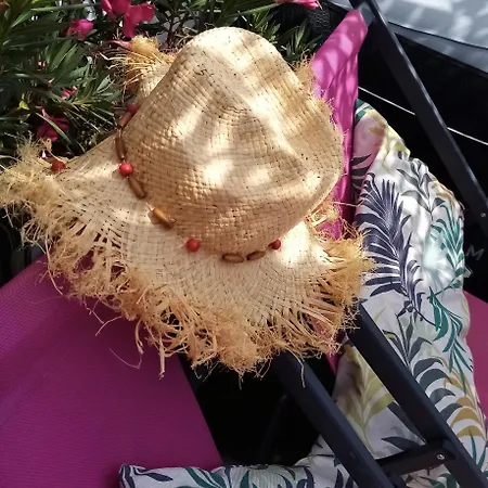 Le Petit Patio 3* Aigues-Mortes