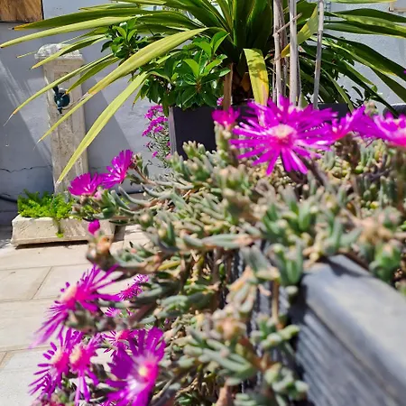 Bed and breakfast Le Petit Patio