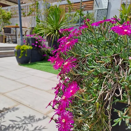 Bed and breakfast Le Petit Patio