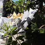 Le Petit Patio Nocleg ze śniadaniem Aigues-Mortes