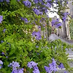 Le Petit Patio 3*