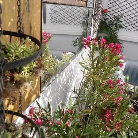 Le Petit Patio Alojamento de Acomodação e Pequeno-almoço 3*