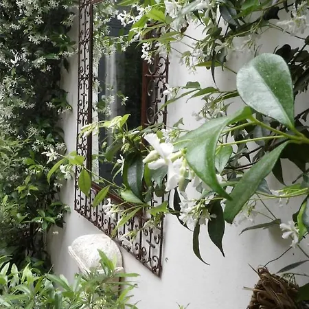 Le Petit Patio