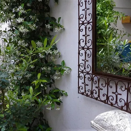 Le Petit Patio 3* Aigues-Mortes