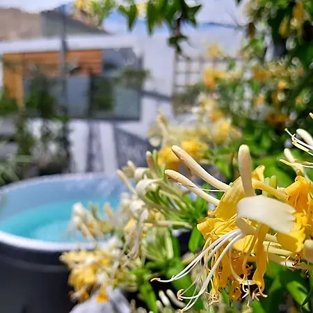 Le Petit Patio 3* Aigues-Mortes