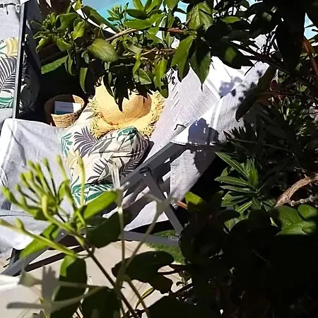 Alojamento de Acomodação e Pequeno-almoço Le Petit Patio Aigues-Mortes
