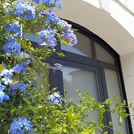 Le Petit Patio 住宿加早餐酒店 3*