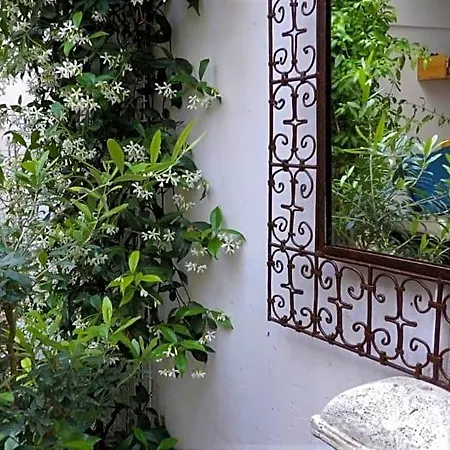 Le Petit Patio Alojamento de Acomodação e Pequeno-almoço 3*