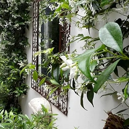 Le Petit Patio 3*