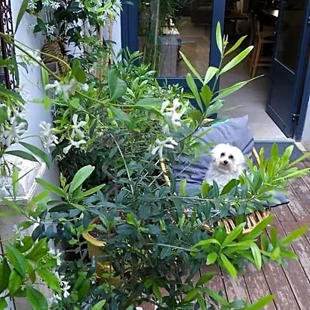 住宿加早餐酒店 Le Petit Patio