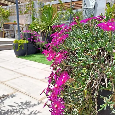 Alojamento de Acomodação e Pequeno-almoço Le Petit Patio 3*