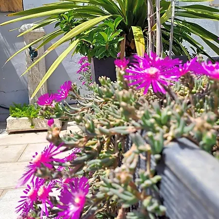 Le Petit Patio Alojamento de Acomodação e Pequeno-almoço Aigues-Mortes