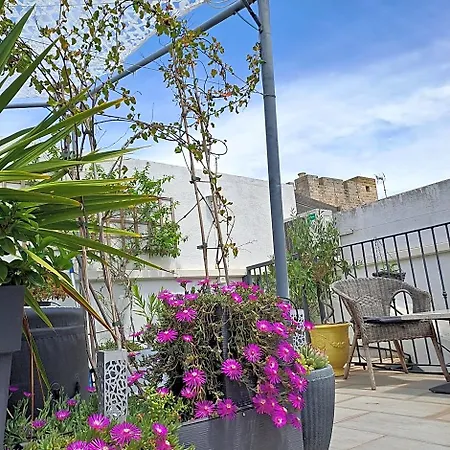 Le Petit Patio Alojamento de Acomodação e Pequeno-almoço Aigues-Mortes
