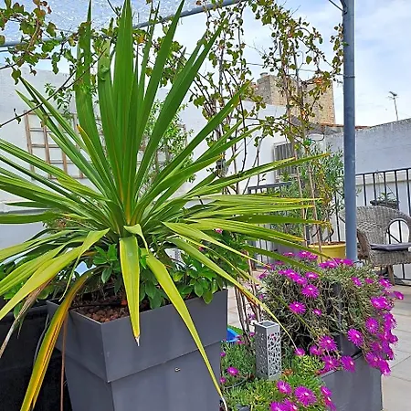 Le Petit Patio 3*