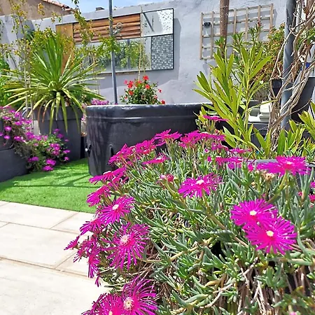 Le Petit Patio Alojamento de Acomodação e Pequeno-almoço